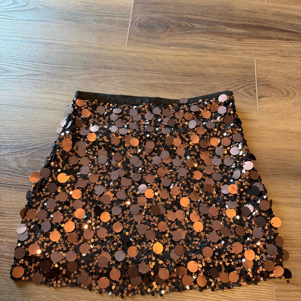 Zara Sequin Skirt